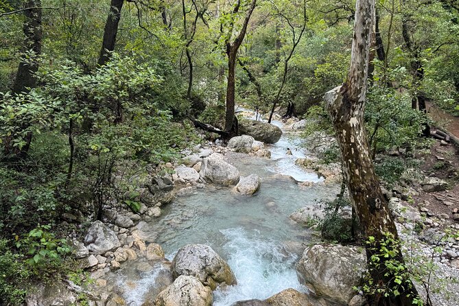 Discover Estanzuela Natural Park - Who Should Consider This Tour