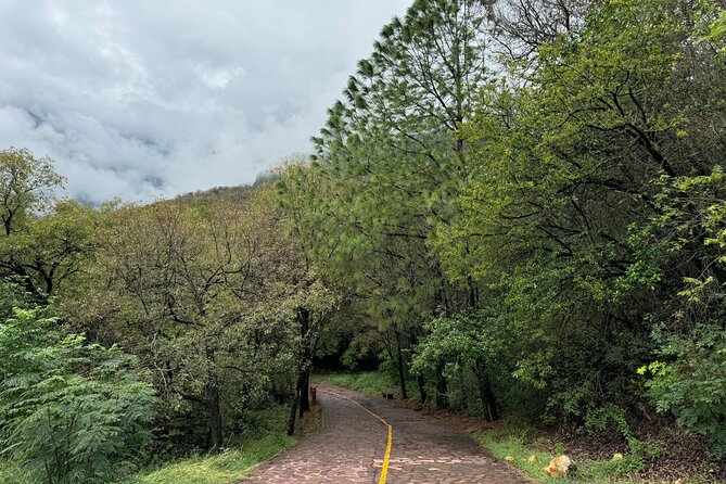 Discover Estanzuela Natural Park - Why Choose This Tour Over Others