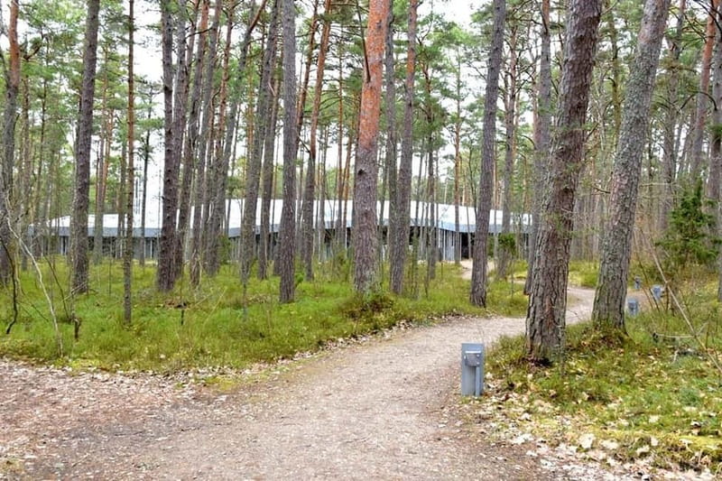 Discover Estonia-car tour from Tallinn to Keila-Joa Waterfal - Physical Requirements and Accessibility