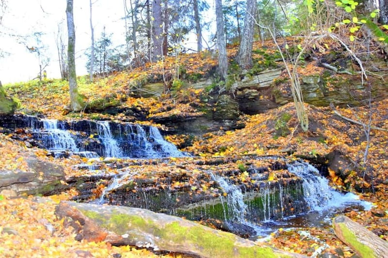 Discover Estoniatour to Lahemaa with waterfalls and nature. - Lahemaa National Park: Estonia’s Green Heart