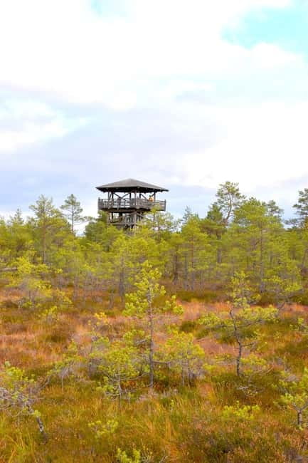 Discover Estoniatour to Lahemaa with waterfalls and nature. - Who Will Enjoy This Tour Most?