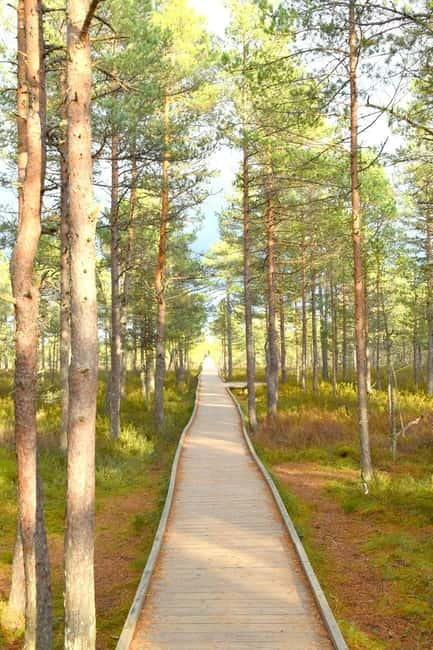 Discover Estoniatour to Lahemaa with waterfalls and nature. - The Sum Up: Authentic Nature Experience Near Tallinn