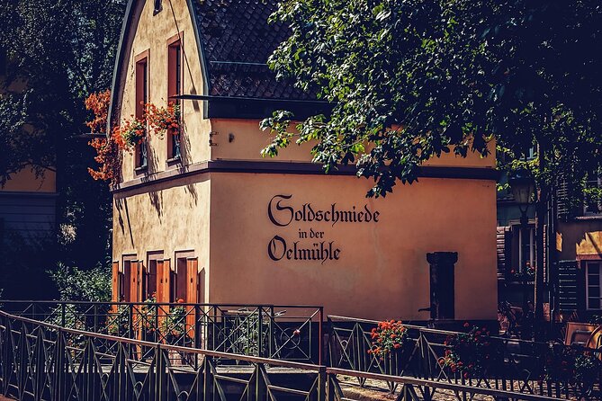 Discover Freiburg Private Walking Tour - Market Atmosphere at Münsterplatz