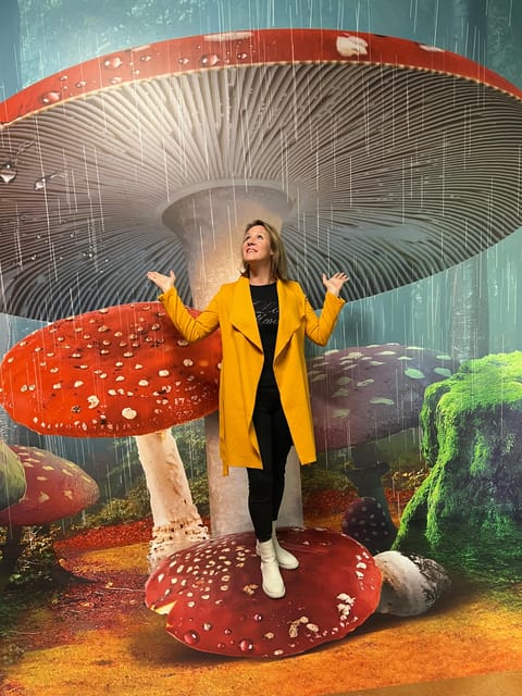 Discover Germany's most exciting photo illusion world! - Discover Germanys Most Exciting Photo Illusion World for $15