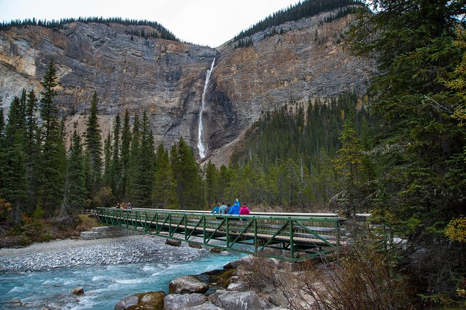 Discover Grizzly Bears from Banff - Scenic Highlights: Waterfalls, Lakes, and Mountain Views