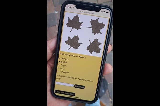 Discover Haarlem with a self-guided Outside Escape city game tour - Practical Details: Meeting Point and Accessibility
