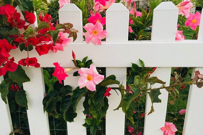 Discover Hidden Stairways & Canyon Paths: Private Urban Adventure - The Architectural Diversity of Santa Monica Homes