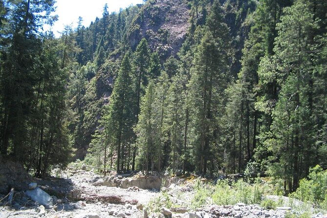 Discover Hiking Trails and a Convent in Desierto de los Leones - Enjoying the Scenic Lago de los Gansos