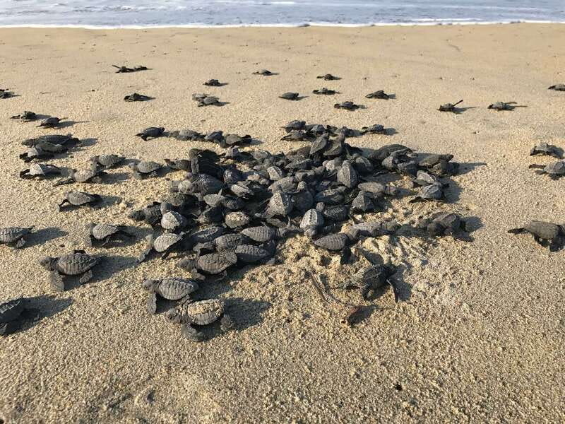 Discover Huatulco: Beach, Flavors, and More - Practical Details: Transportation and What to Bring