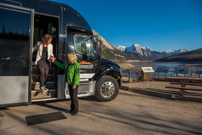 Discover Jasper and its Wildlife - Starting Point at SunDog Transportation and Tours