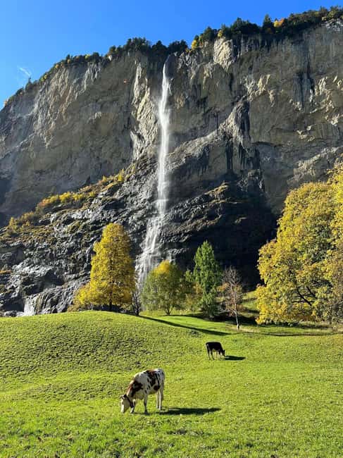 Discover Lauterbrunnen with Cheese & Chocolate Tasting Tour - Key Points