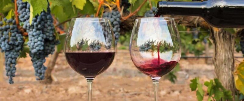 Discover Lefkada  Guided Tour & Local Experiences - Key Points