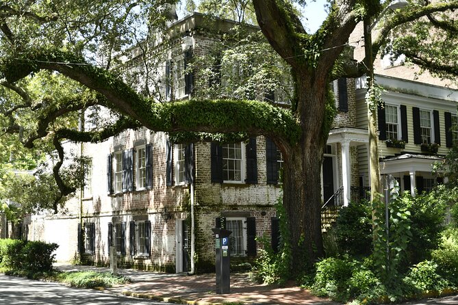 Discover Lesser Known Stories on the Hidden Savannah Walking Tour - Key Points