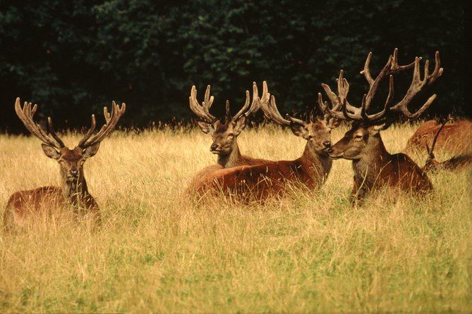 Discover Lindau Island and the Highlights of Bregenz in one day ! - The Convenience of Hotel Pickup in Lake Constance Area