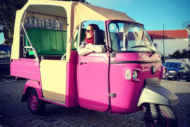 Discover Lisbon by Tuk Tuk Tour - Practical Details: Group Size and Accessibility