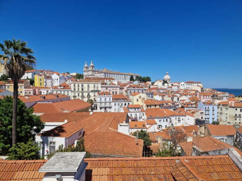 Discover Lisbon: Walking Tour of Baixa, Bairro Alto & Alfama - Walking Through Alfama’s Historic alleys