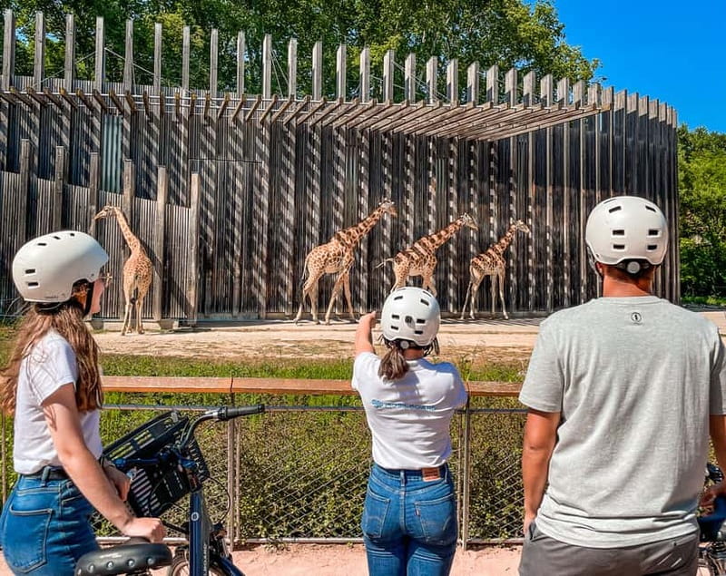 Discover Lyon's iconic Tête d'Or park by bike - Exploring Vieux Lyon and the Old Town Charm