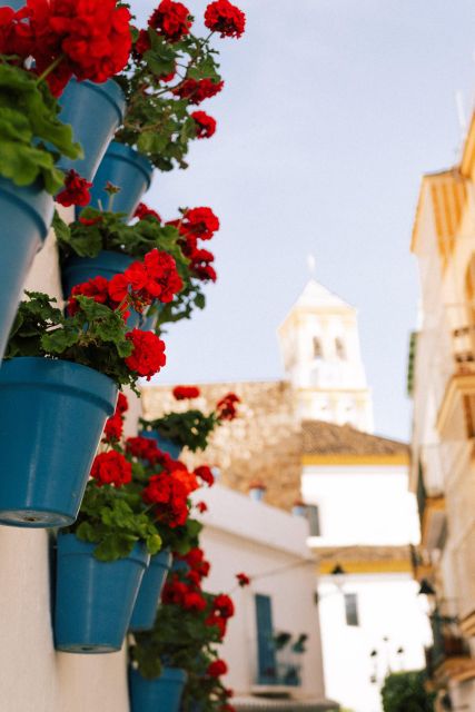 Discover Marbella's Old Town with five-star private tour - Starting Point at Fuente Virgen del Rocío in Alameda Park