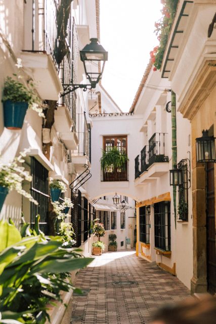 Discover Marbella's Old Town with five-star private tour - Olive Oil Tasting at D·OLIVA Marbella Aceites de Oliva Premium