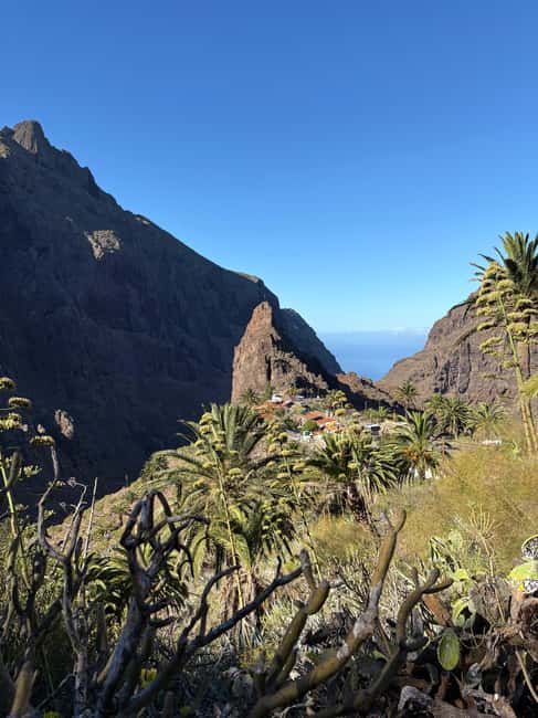 Discover Masca our way - Tasting the Local Barroquito Coffee