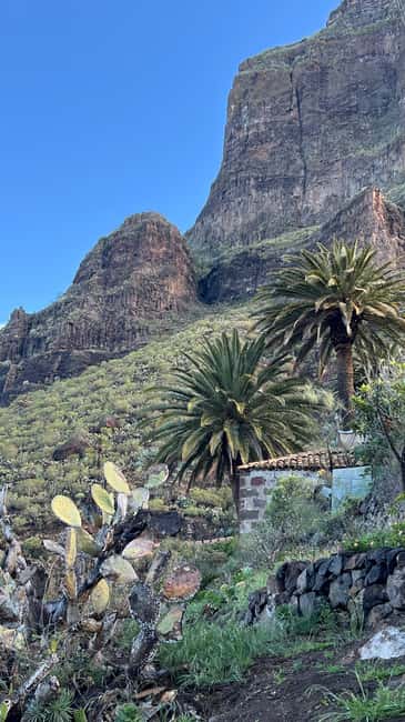 Discover Masca our way - Suitable Audience and Recommendations