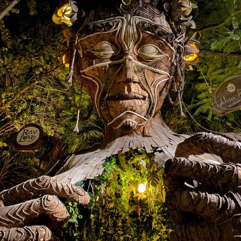 Discover Mayan Magic: Tulum, Coba, Cenote & Playa del Carmen - Key Points