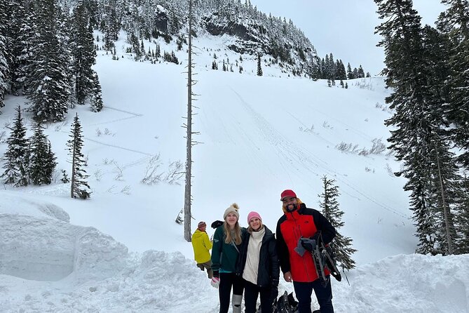 Discover Mt. Rainier  Private Full-Day Tour - Convenient Pickup and Vehicle Comfort