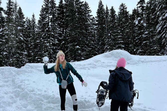 Discover Mt. Rainier  Private Full-Day Tour - Expert Guides and Customer Service