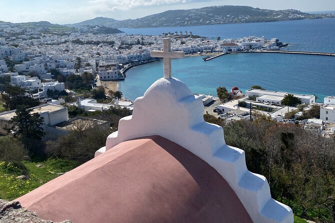 Discover Mykonos Island In Half Day Private Tour - Drive-Through Panormos, Agios Sostis, and Ftelia Beaches
