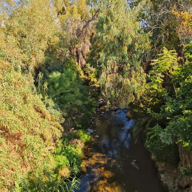 Discover Nea Filadelfeia: Walking Tour Outside Athens Center - Discovering Nea Filadelfeia’s Modern Life