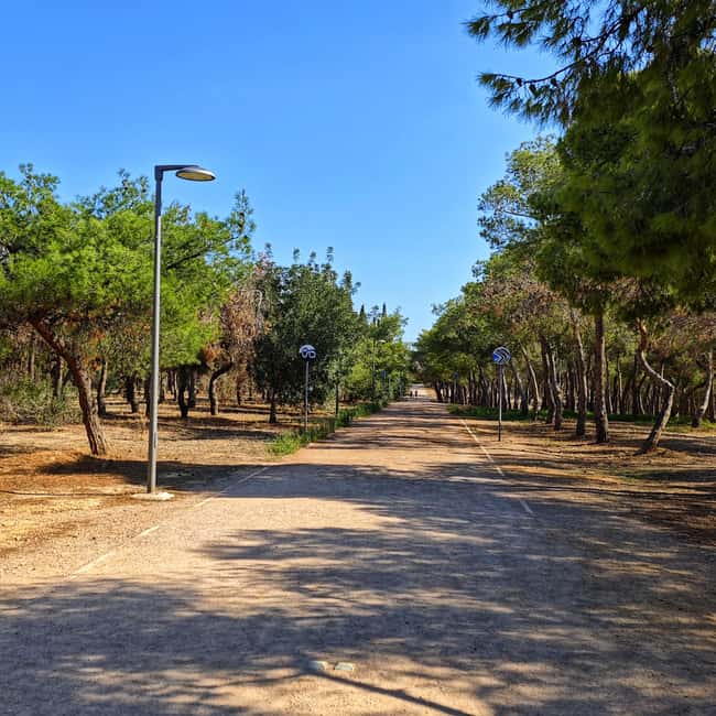 Discover Nea Filadelfeia: Walking Tour Outside Athens Center - Strolling in Nea Filadelfeia Grove