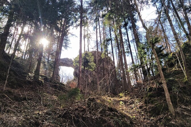 Discover Near Brno: Best Czech Caves & Karst Full-Day tour - Exploring the Macocha Abyss: Central Europes Deepest Sinkhole