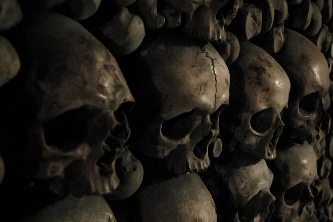 Discover Notre Dames Crypt with an Archeologist + River Cruise - The Artistic and Historic Heart: Musée dOrsay and Place de la Concorde