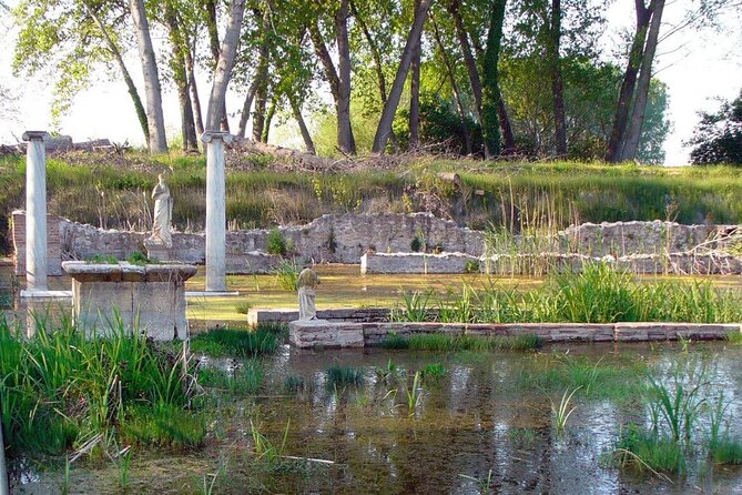 Discover Olympus & Dion: Private Day Trip from Thessaloniki - Scenic Walk to Enipeas Waterfall