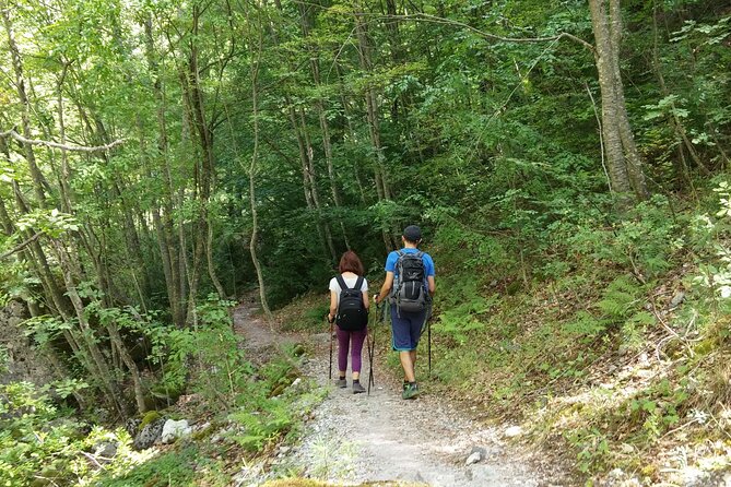 Discover Olympus & Dion: Private Day Trip from Thessaloniki - Discovering Litochoro Village