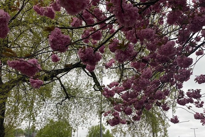 Discover Oslo on foot - Walking Past the Royal Palace and Government Buildings