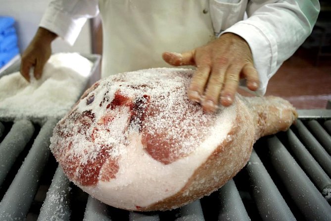 Discover Parmas Flavors: Parmigiano & Prosciutto Food Tour - Who Will Appreciate This Experience the Most