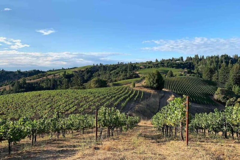 Discover Peljeac Peninsula - A Wine Tour in Small Groups - Booking and Cancellation Policies