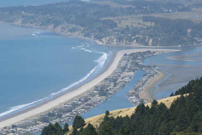 Discover Point Reyes National Seashore & Muir Woods Redwoods - Logistics and Convenience of Pickup