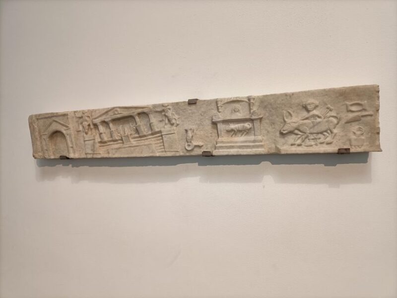 Discover Pompeii with a professional guide for 2hrs - Who Will Enjoy This Tour Most