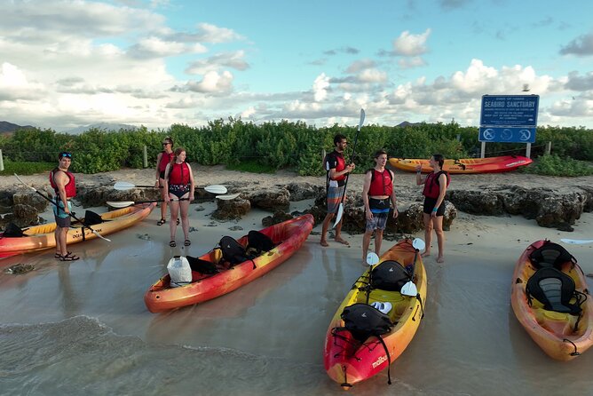 Discover Popoia Island and Kailua Bay by Kayak Guided Tour - Explore the Calm Waters of Kailua Bay for a 3-Hour Kayak Adventure