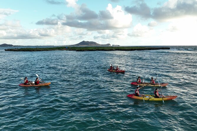 Discover Popoia Island and Kailua Bay by Kayak Guided Tour - Enjoying the Authentic Lunch at the Tours The Sum Up
