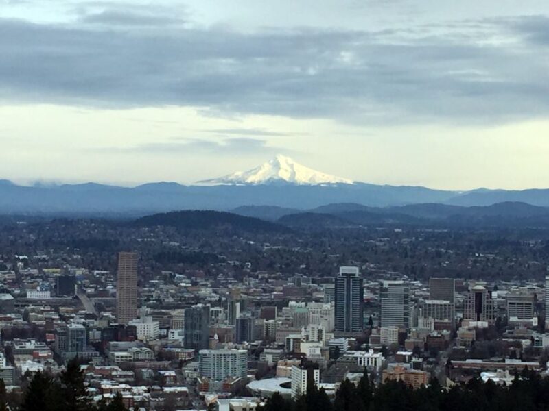 Discover Portland: Half-Day Small Group City Tour - Navigating Portland’s Neighborhoods and Landmarks