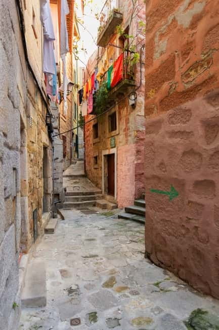 Discover Porto's Historical Roots Walking Tour - Logistics and Practical Details for Participants