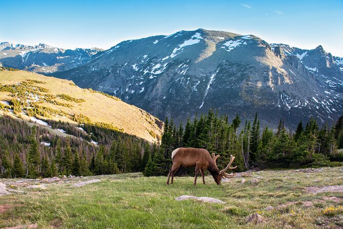 Discover Rocky Mountain National Park - Discover Rocky Mountain National Park: A Guided Day Trip from Denver