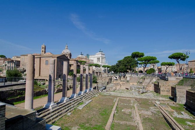 Discover Rome in a Day  Private Driver Tour - Key Points