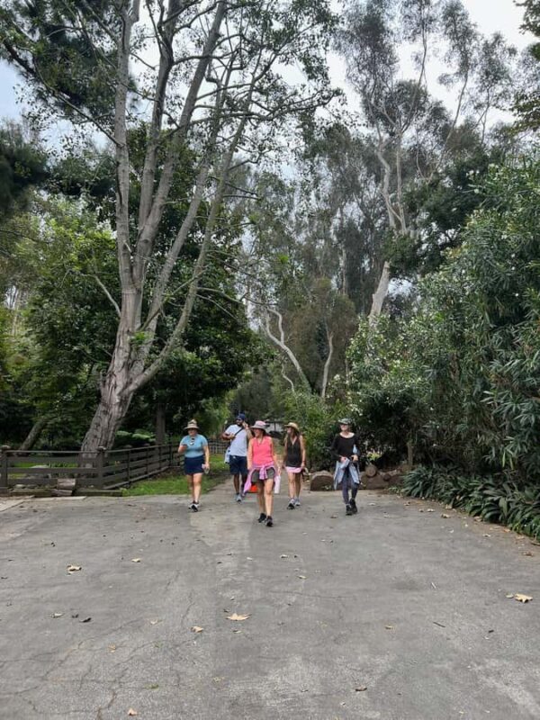 Discover Santa Monicas Hidden Stairways & Canyon Paths - Key Points