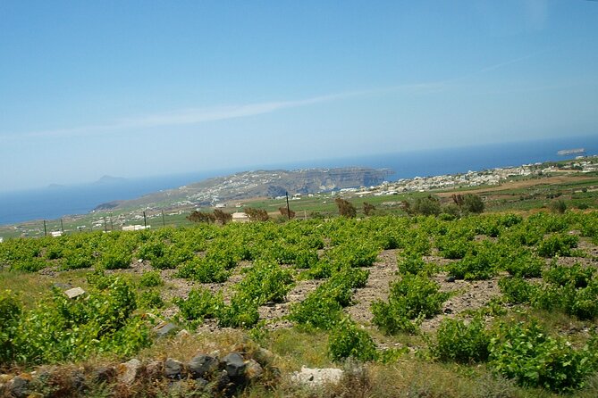 Discover Santorini - Logistics and Pacing of the Tour