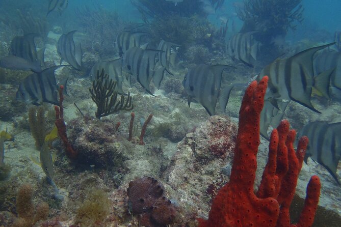 Discover Scuba - Equipment and Safety Precautions