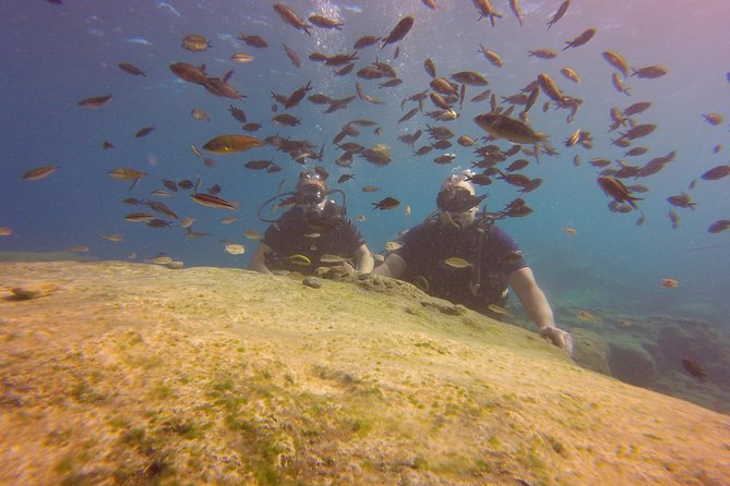Discover Scuba diving - Discover the Best Beginner Scuba Diving Experience in Ayia Napa for Just $95